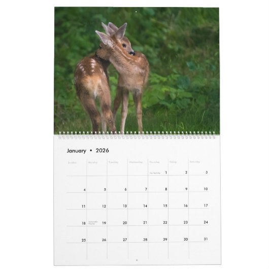 Calendrier Hug animal (Jan 2026)