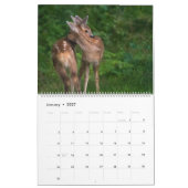 Calendrier Hug animal (Jan 2027)