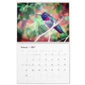 Calendrier Humming Bird 2025 LargeCalendar, Blanc (Feb 2027)