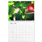 Calendrier Humming Bird 2025 LargeCalendar, Blanc (Mar 2027)