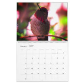 Calendrier Humming Bird 2025 LargeCalendar, Blanc (Jan 2027)