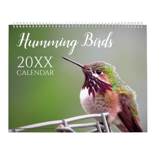 Calendrier Humming Bird Calendar Nature Wildlife Photos (Protection)