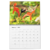 Calendrier HUMMINGBIRD 2022 (Feb 2027)