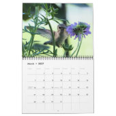 Calendrier HUMMINGBIRD 2022 (Mar 2027)