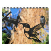 Calendrier HUMMINGBIRD 2022 (Protection)