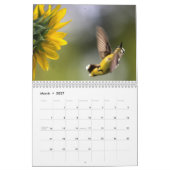 Calendrier HUMMINGBIRDS (Mar 2027)