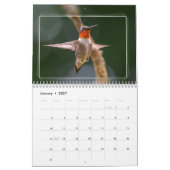 Calendrier HUMMINGBIRDS (Jan 2027)