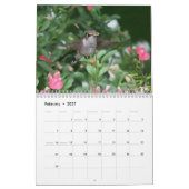 Calendrier HUMMINGBIRDS (Feb 2027)