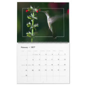 Calendrier HUMMINGBIRDS (Feb 2027)
