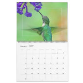Calendrier HUMMINGBIRDS (Jan 2027)