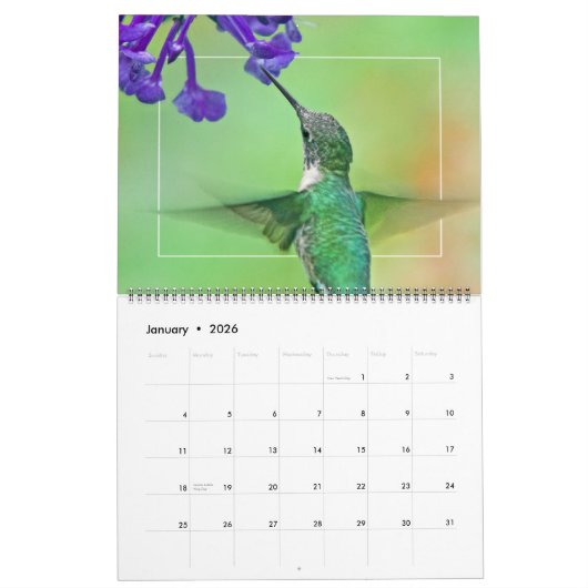 Calendrier HUMMINGBIRDS (Jan 2026)