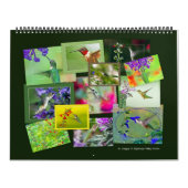 Calendrier HUMMINGBIRDS (Protection)