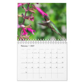Calendrier Hummingbirds 2020 (Feb 2027)