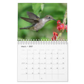 Calendrier Hummingbirds 2020 (Mar 2027)