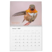 Calendrier Hummingbirds de l'Ouest 2020 (Jan 2027)