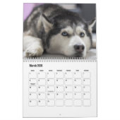 Calendrier Husky (Mar 2026)
