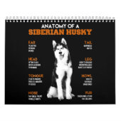 Calendrier Husky| Anatomie Des Chiens Husky Sibériens (Protection)