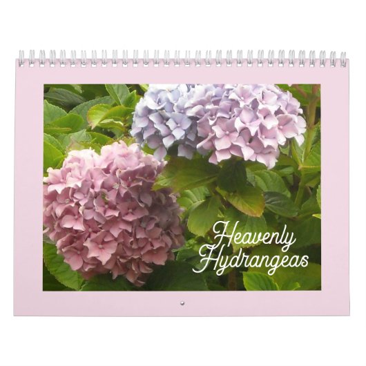 Calendrier Hydrangeas Célestes (Protection)