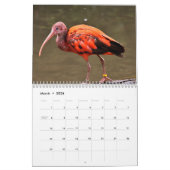 Calendrier Ibis 2025 (Mar 2026)
