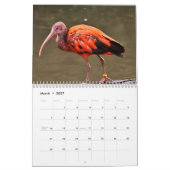 Calendrier Ibis 2025 (Mar 2027)