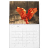 Calendrier Ibis 2025 (Jan 2027)