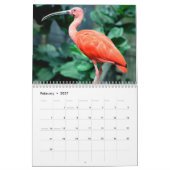 Calendrier Ibis 2027 (Feb 2027)