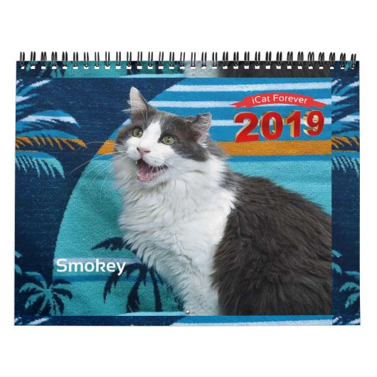 Calendrier iCat Forever 2019 (Protection)