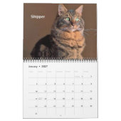 Calendrier iCat Forever 2019 (Jan 2027)