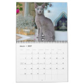 Calendrier iCat Forever 2019 (Mar 2027)