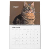 Calendrier iCat Forever 2019 (Jan 2026)