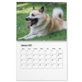 Calendrier IcelandicSheepdog20151001 (Feb 2027)