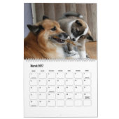Calendrier IcelandicSheepdog20151001 (Mar 2027)