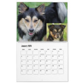 Calendrier IcelandicSheepdog20151001 (Jan 2026)