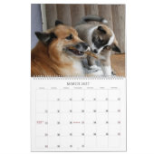 Calendrier IcelandicSheepdog 001 (Mar 2027)