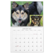 Calendrier IcelandicSheepdog 001 (Jan 2027)