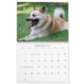 Calendrier IcelandicSheepdog 001 (Feb 2027)