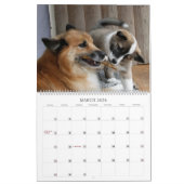 Calendrier IcelandicSheepdog 001 (Mar 2026)