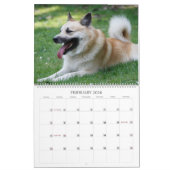 Calendrier IcelandicSheepdog 001 (Feb 2026)