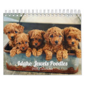 Calendrier Idaho Jewels Poodles | 2026 Calendar (Protection)