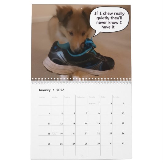 Calendrier If Shelties could talk (Jan 2026)
