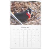 Calendrier îles Galapagos (Feb 2027)