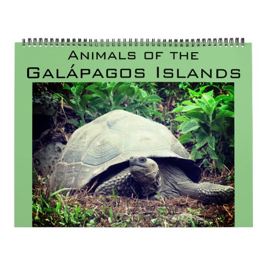 Calendrier îles galapagos animaux 2025 grand (Protection)