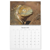 Calendrier îles galapagos animaux 2025 grand (Jan 2026)