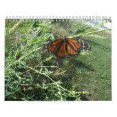 Calendrier Illinois rural (Protection)