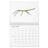 Calendrier Illustration animalière (Mar 2027)