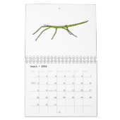 Calendrier Illustration animalière (Mar 2026)