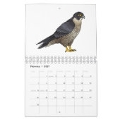 Calendrier Illustration animalière (Feb 2027)