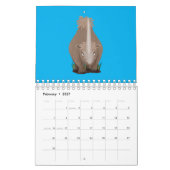 Calendrier Illustration animalière (Feb 2027)