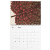 Calendrier Illustration de feuilles Vintages botaniques rares (Feb 2026)