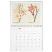 Calendrier Illustrations botaniques vintages 2026 (Jan 2027)